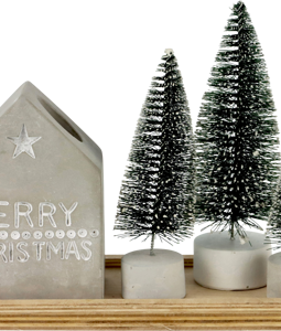 1664 CHRISTMAS DECORATIVE S/5